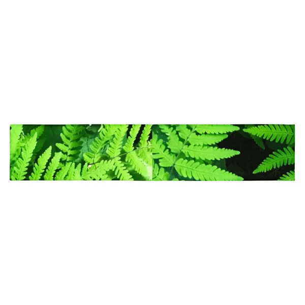 Ferny Fresh Headband - Image 9