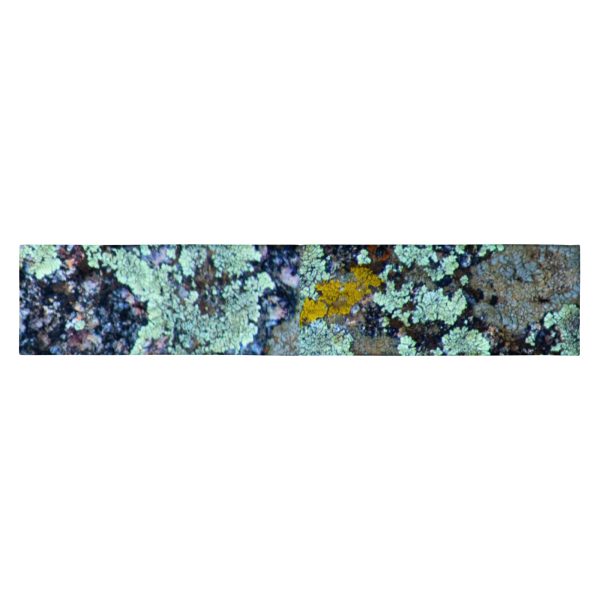 Lichen It Fresh Headband - Image 8