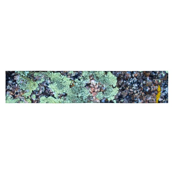 Lichen It Fresh Headband - Image 9